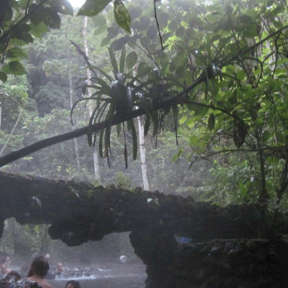 Costa Rican Hot Spring Volcanic Rocks Costa Rica Jungle Volcano Choose Variation - Picture 15 of 16